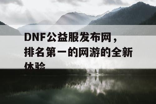 DNF公益服发布网，排名第一的网游的全新体验