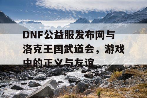 DNF公益服发布网与洛克王国武道会，游戏中的正义与友谊