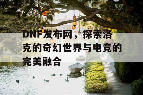 DNF发布网，探索洛克的奇幻世界与电竞的完美融合