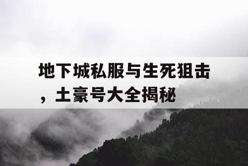 地下城私服与生死狙击，土豪号大全揭秘