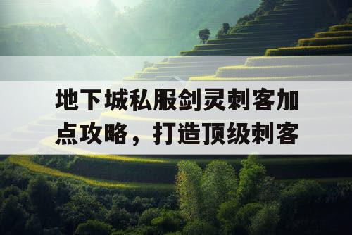 地下城私服剑灵刺客加点攻略，打造顶级刺客