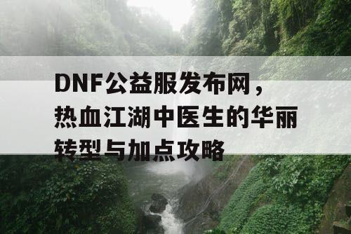 DNF公益服发布网，热血江湖中医生的华丽转型与加点攻略